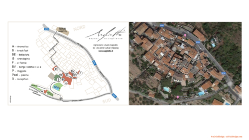 Uliveto Saglietto - Poggi di Imperia
