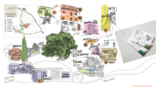 Uliveto Saglietto - Poggi di Imperia